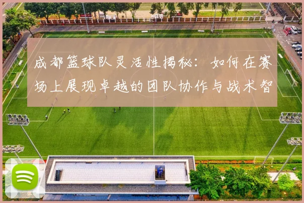 成都篮球队灵活性揭秘：如何在赛场上展现卓越的团队协作与战术智慧